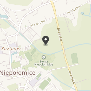 pod Żubrem na mapie