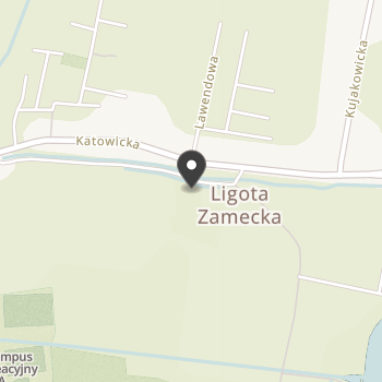 Ośrodek Hipoterapii i Rekreacji Konnej "Godziemba" na mapie