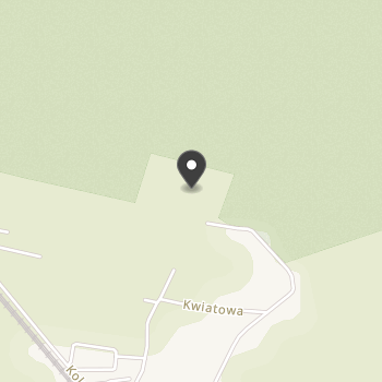 Leśny Konik na mapie