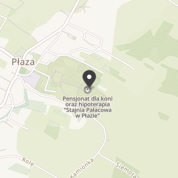 Stajnia Pałacowa na mapie