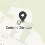 Końskie Zdrowie na mapie