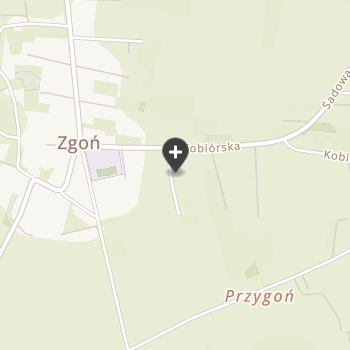 Gabinet Weterynaryjny Anna Mródź-Jędryczek Jaśminvet na mapie