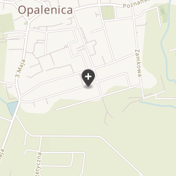 Agrivet Przychodnia Weterynaryjna Opalenica na mapie