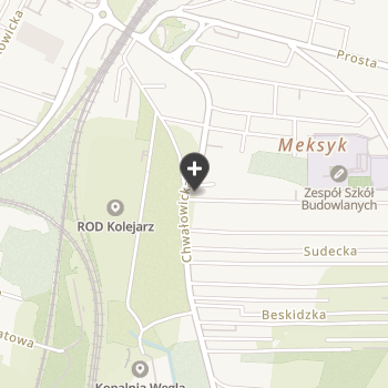 Weterynarz Rybnik na mapie