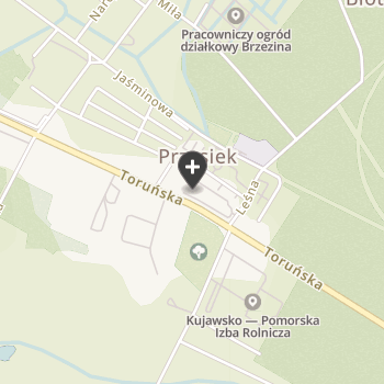 Gabinet Weterynaryjny Centrum Weterynaryjne Przysiek na mapie