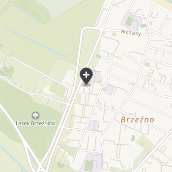 W Brzeźnie na mapie
