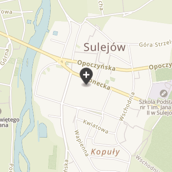 Przychodnia Weterynaryjna Sulvet na mapie