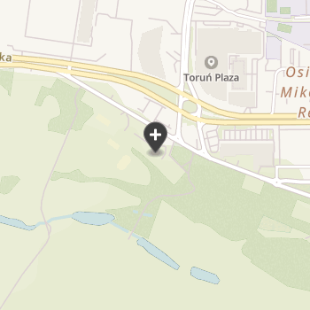 Przychodnia Weterynaryjna Umk na mapie