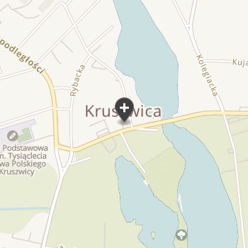 Kujawska Grupa Weterynaryjna na mapie