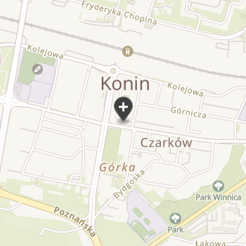 Konińskie Centrum Weterynarii Canifelis na mapie