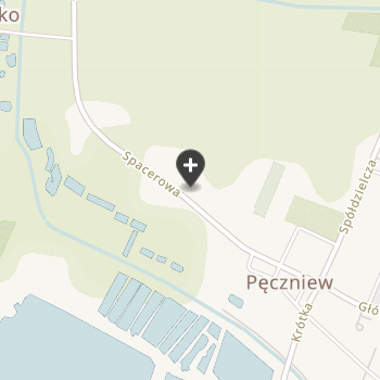 Lek. Wet. Artur Wojtczak na mapie