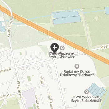 Klinika Weterynaryjna Giszowiec na mapie