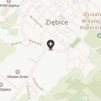 Lecznica Zwierząt na mapie