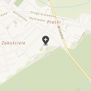 Lecznica Weterynaryjna na mapie