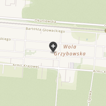 Onkologia Weterynaryjna na mapie