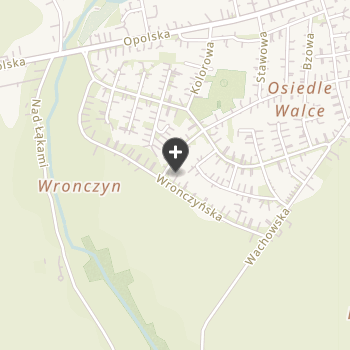 Przychodnia dla Zwierząt - Witold Noga na mapie