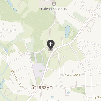Żyrafa na mapie