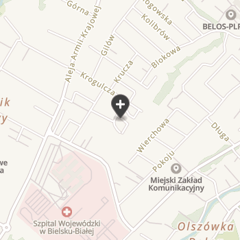 pod Czaplą na mapie