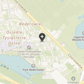 Mariusz Witała, Lek. Wet na mapie