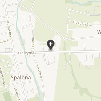 Gabinet Weterynaryjny na mapie