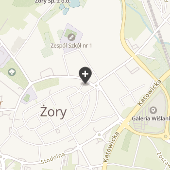 Gabinet Weterynaryjny Świętego Franciszka na mapie