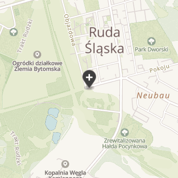 Rudzkie Centrum Weterynarii Małych Zwierząt na mapie