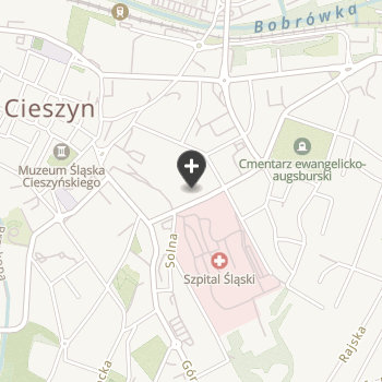 Lecznica Weterynaryjna na mapie