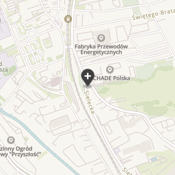 Cztery Łapy na mapie