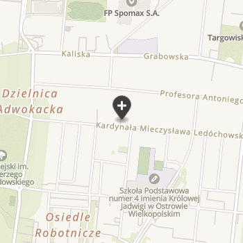 Bogucki Sz., Ostrowskie Centrum Weterynaryjne na mapie