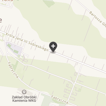 Gabinet Weterynaryjny "Boli Łapka" na mapie